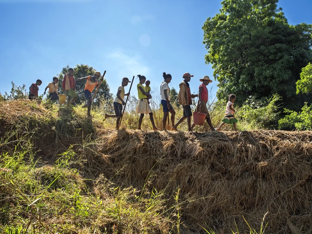 A group of people walking together